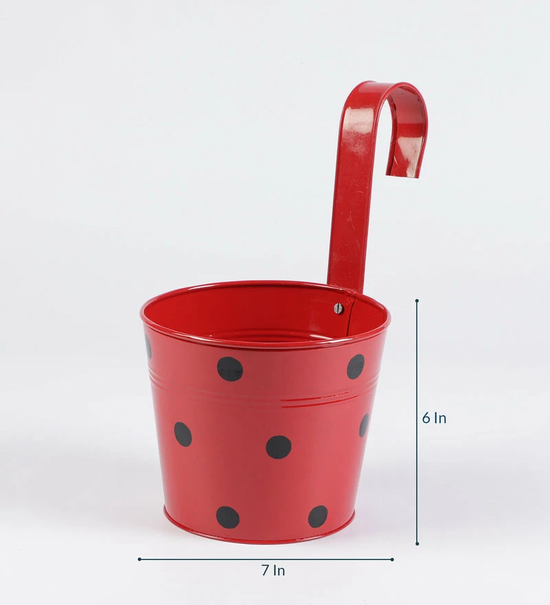 Exotic Flora Pots & Planters Set Of Five 7'' Polka Dot Round Planters 3 Exotic Flora Pots & Planters Set Of Five 7'' Polka Dot Round Planters