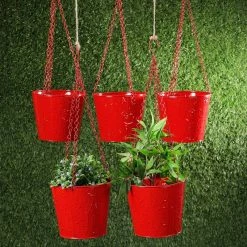 Exotic Flora Set Of Five Hanging Bucket Red Pots & Planters