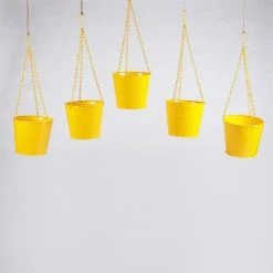 Exotic Flora Pots & Planters Set Of Five Hanging Bucket Yellow
