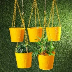 Exotic Flora Pots & Planters Set Of Five Hanging Bucket Yellow