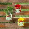 Exotic Flora Set Of Three Mushroom Railing Planters