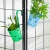 Exotic Flora Pots & Planters Set Of Two Railling Pot Polka Blue & Green