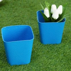 Exotic Flora Set Of Two Embossed Pot Blue