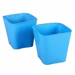Exotic Flora Set Of Two Embossed Pot Blue