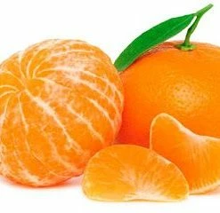 Exoticflora Orange Nagpur(Grafted) - Fruit Plants & Tree Grafted Fruit Plants