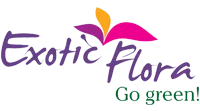 Exotic Flora Shop