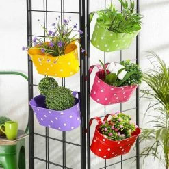 Exotic Flora Set Of Five12'' Polka Dot Oval Planters