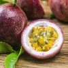 Exoticflora Passion Fruit - Fruit Plants & Vine Plants Exotic Fruit Plants
