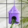 Exotic Flora Round Hut Bird House Purple Pots & Planters