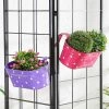 Exotic Flora Pots & Planters Set Of Two Polka Dot Oval Railling Planter Big Purple & Pink