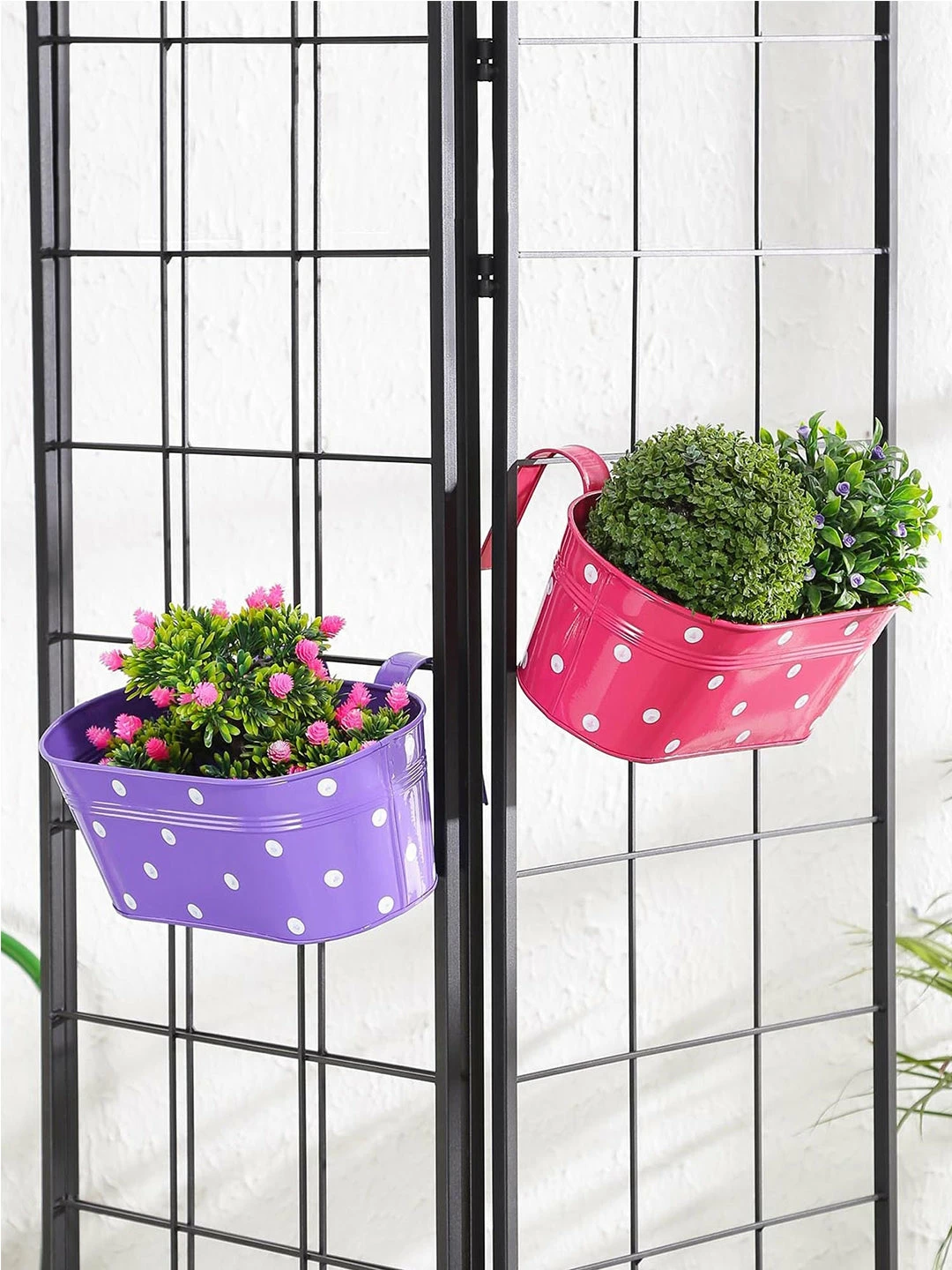 Exotic Flora Pots & Planters Set Of Two Polka Dot Oval Railling Planter Big Purple & Pink 1 Exotic Flora Pots & Planters Set Of Two Polka Dot Oval Railling Planter Big Purple & Pink