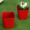 Exotic Flora Set Of Two Embossed Pot Red