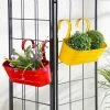 Exotic Flora Set Of Two Oval Railing Planter Large Yellow & Red Pots & Planters