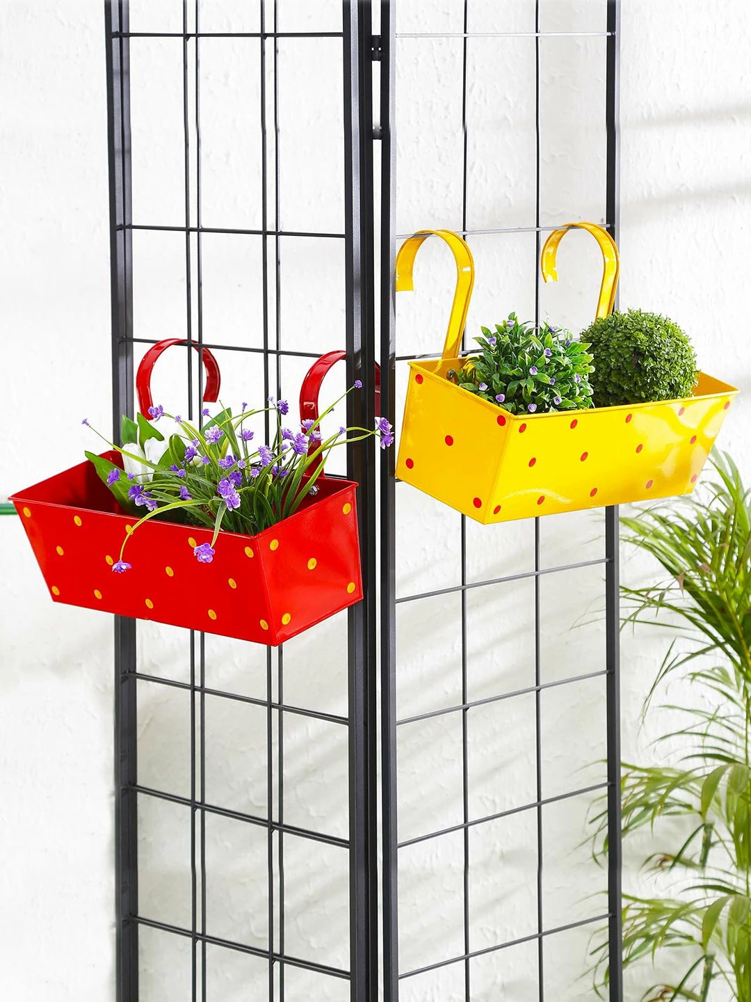 Exotic Flora Set Of Two Polka Dot Rectangle Planter Red & Yellow 1 Exotic Flora Set Of Two Polka Dot Rectangle Planter Red & Yellow