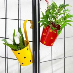 Exotic Flora Pots & Planters Set Of Two Railling Pot Polka Red & Yellow
