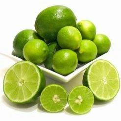 Exoticflora Lemon Seedless - Fruit Plants & Tree