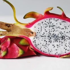Exoticflora Dragon Fruit - Fruit Plants