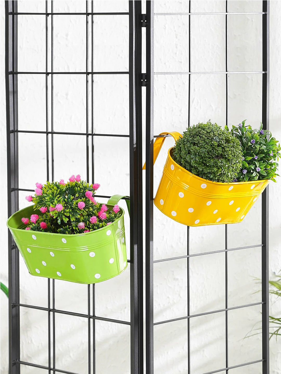 Exotic Flora Set Of Two Polka Dot Oval Railling Planter Big Yellow & Green Pots & Planters 1 Exotic Flora Set Of Two Polka Dot Oval Railling Planter Big Yellow & Green Pots & Planters