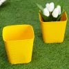 Exotic Flora Set Of Two Embossed Pot Yellow