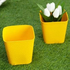 Exotic Flora Set Of Two Embossed Pot Yellow