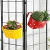 Exotic Flora Set Of Two Polka Dot Oval Railling Planter Big Yellow & Red