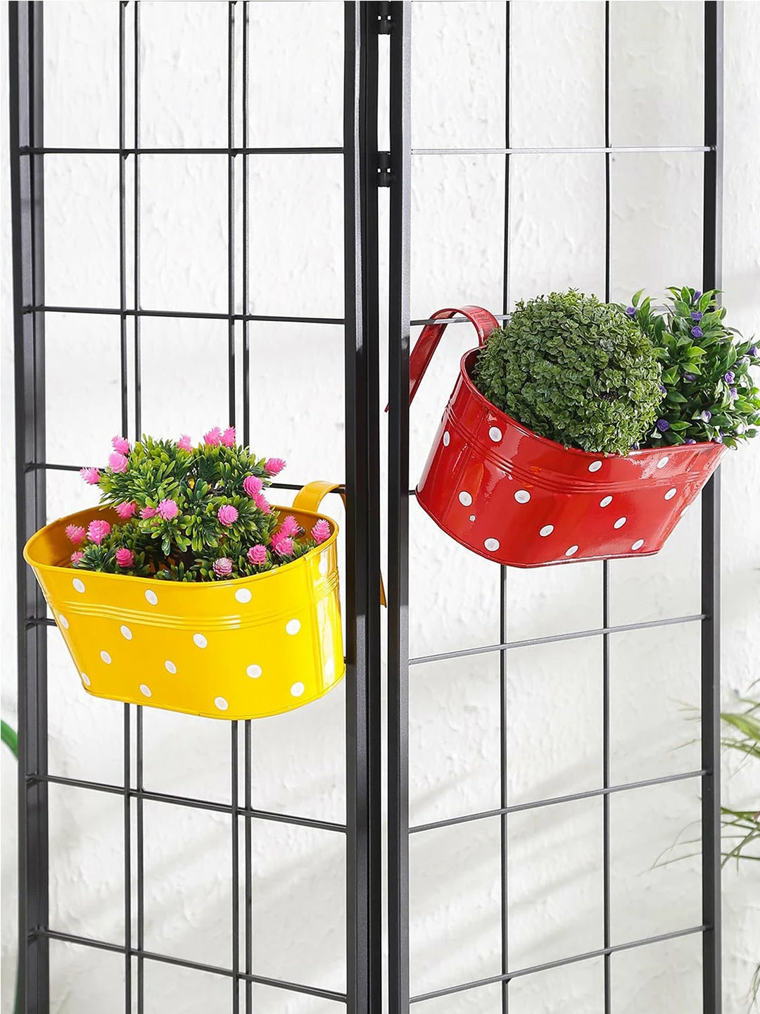 Exotic Flora Set Of Two Polka Dot Oval Railling Planter Big Yellow & Red 1 Exotic Flora Set Of Two Polka Dot Oval Railling Planter Big Yellow & Red